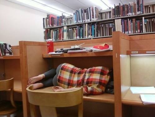 Of The Best Places To Nap At University Of Alabama Oneclass Blog