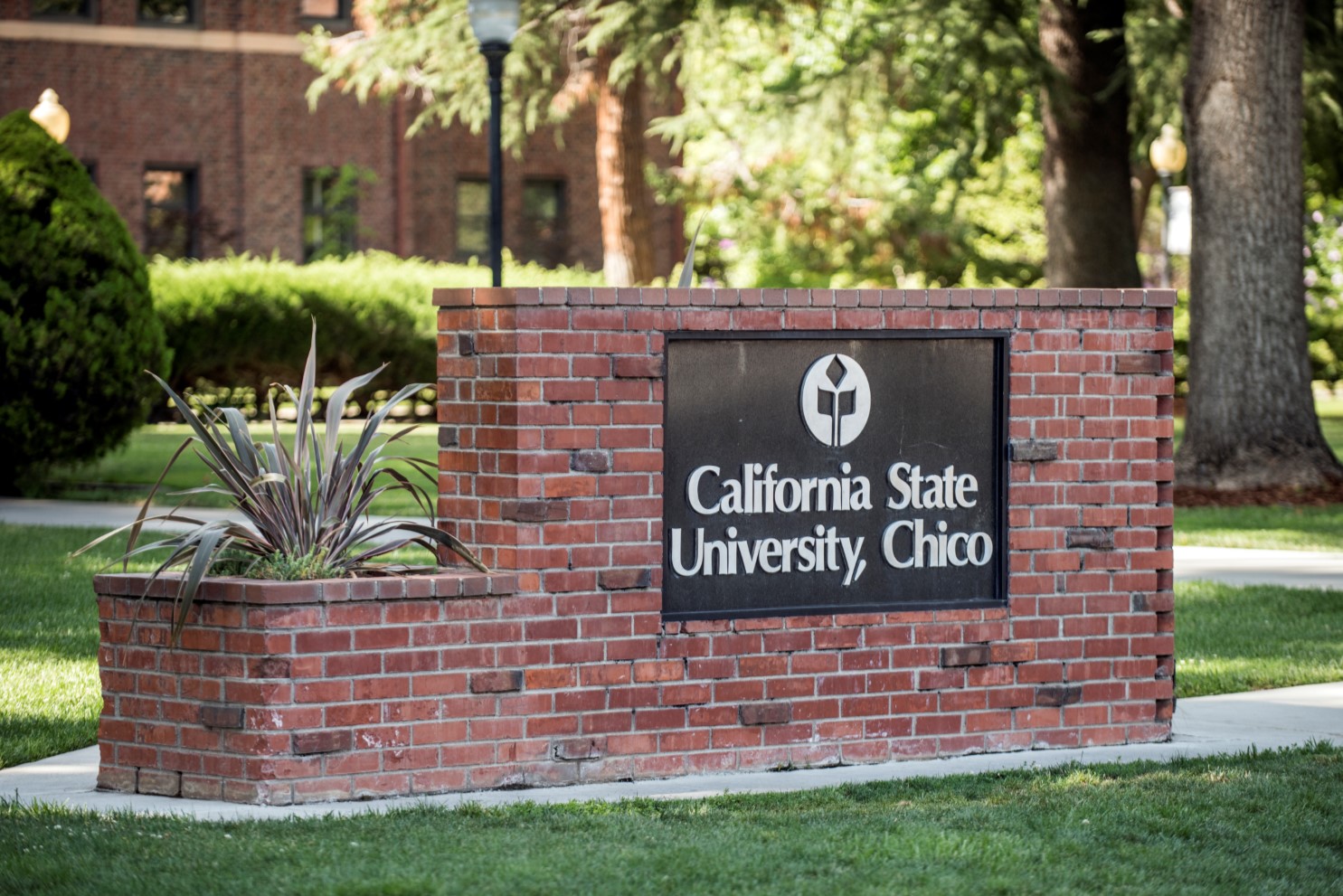 10 of the Best Rated Courses at Chico State University OneClass Blog