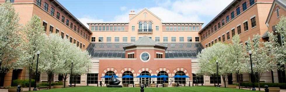 Gvsu