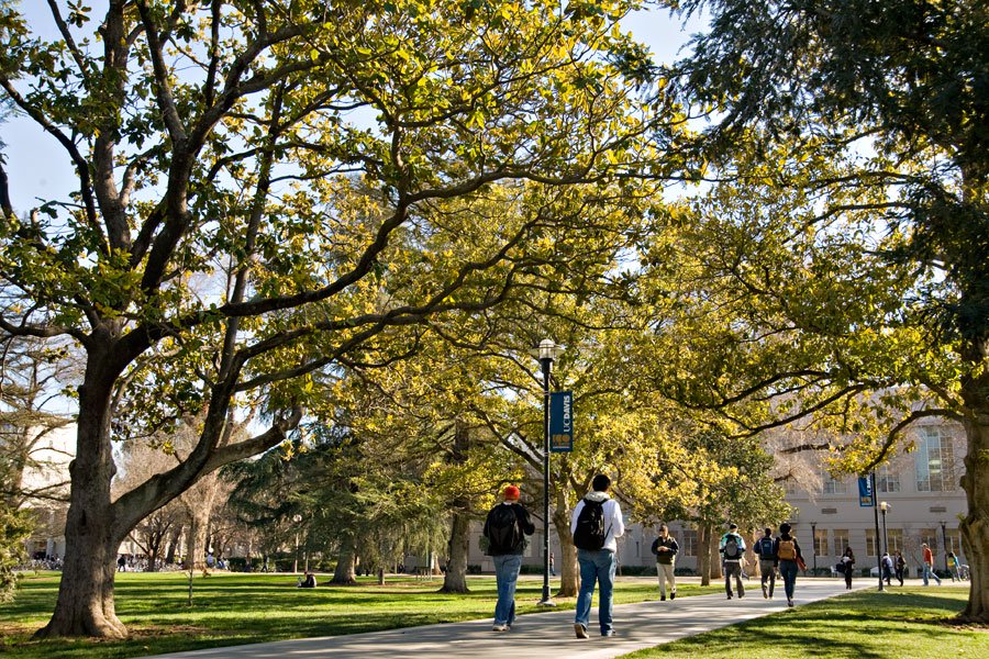 10-of-the-easiest-classes-at-uc-davis-oneclass-blog