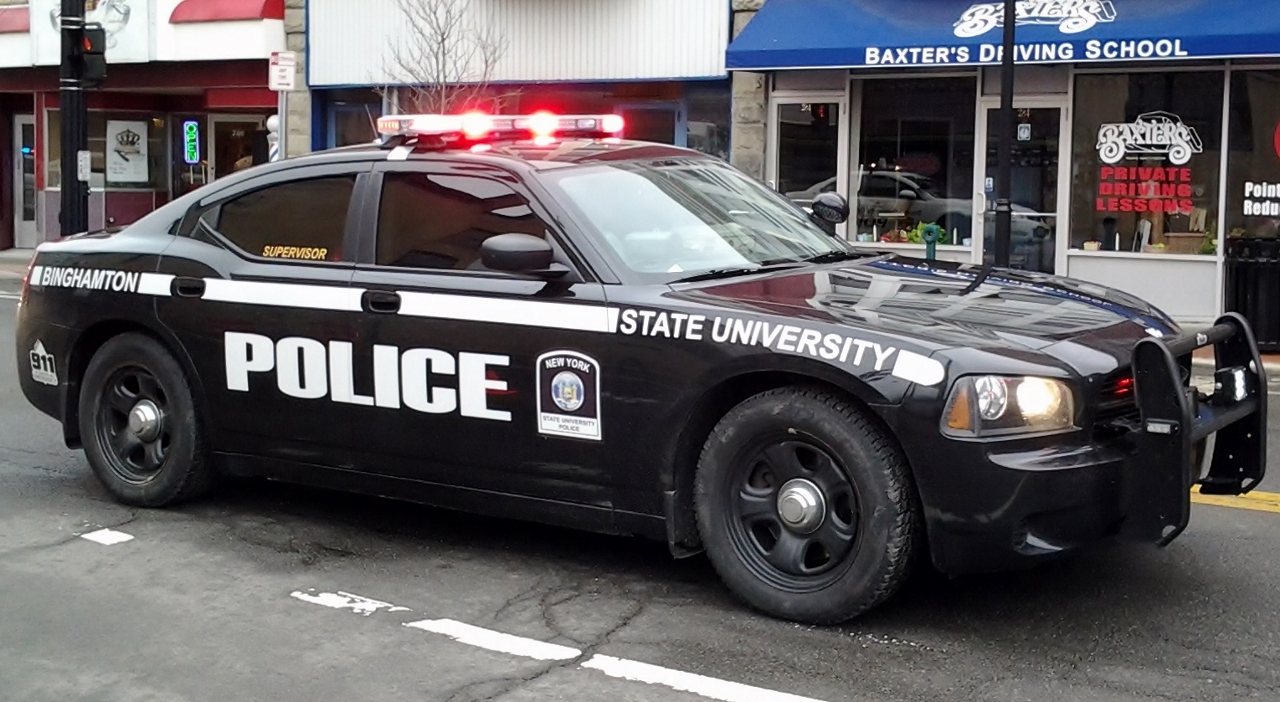 Binghamton university 1