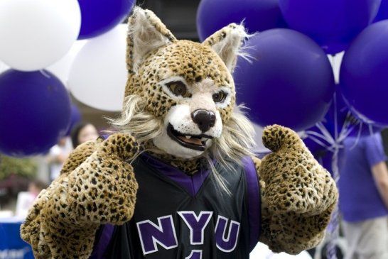 Nyu 1