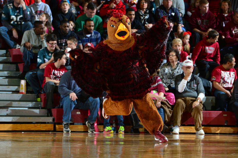 Saint josephs university 1