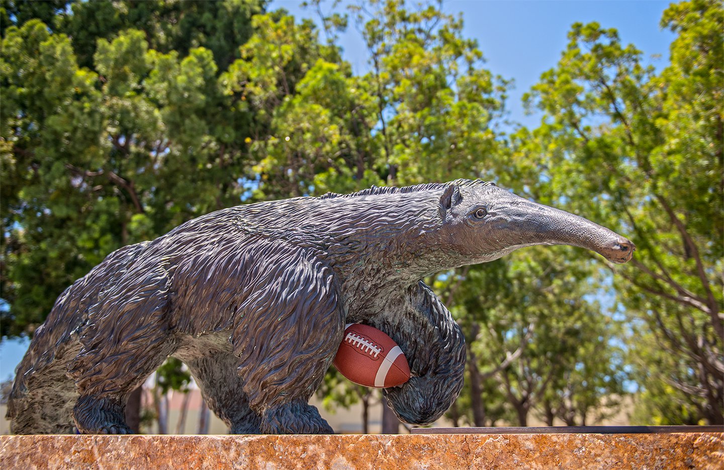 Uci rams 160623 sc 002