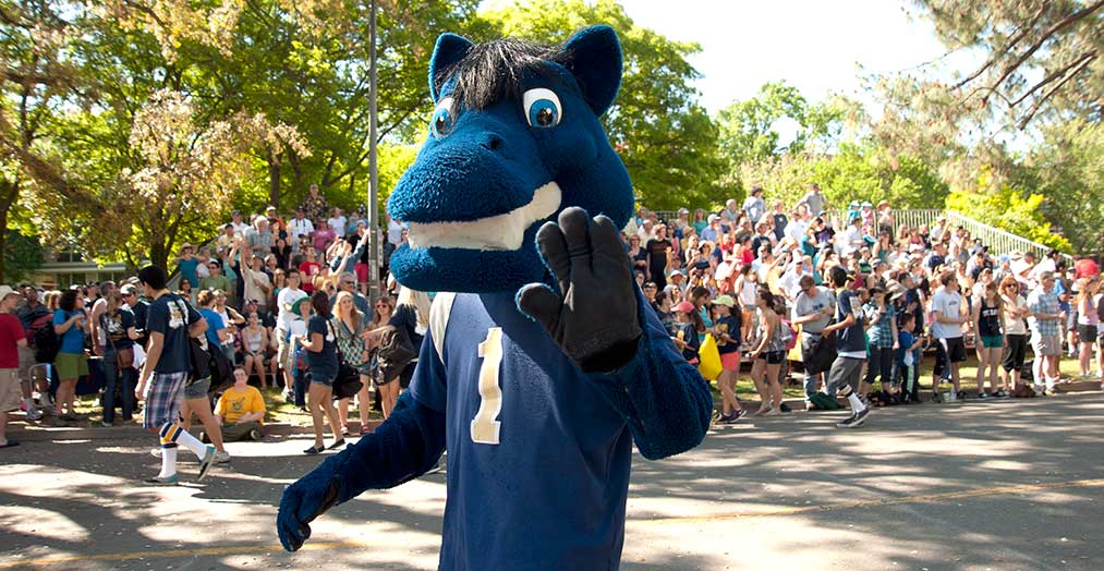Uc davis 1