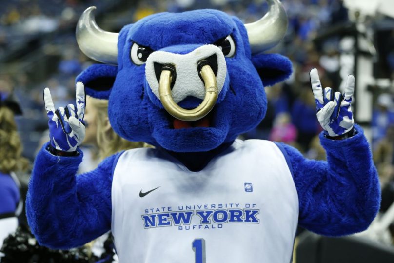 Top 10 Clubs To Join At University At Buffalo OneClass Blog top-10-clubs-to-join-at-university-at-buffalo-oneclass-blog