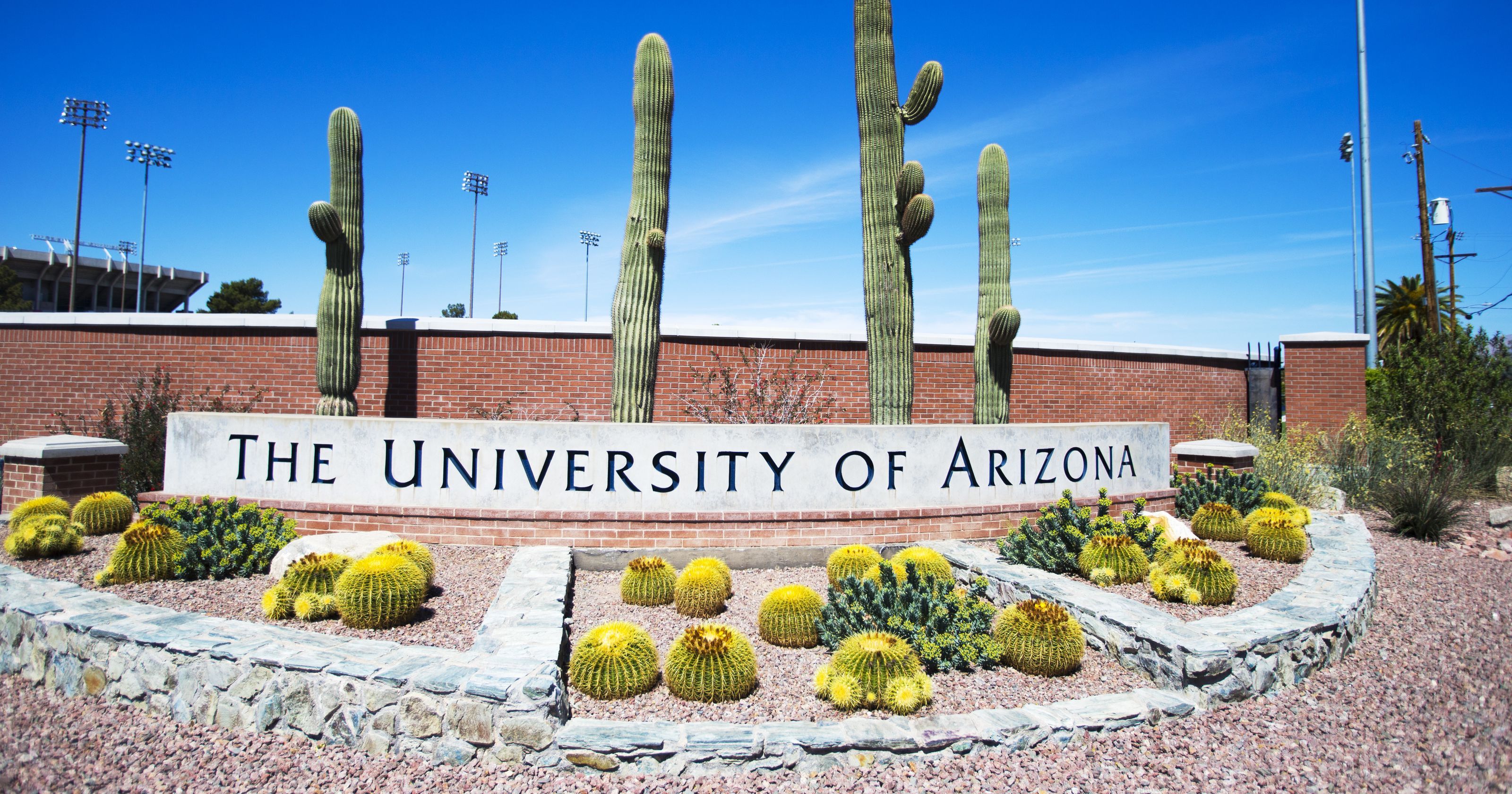 University of arizona 2