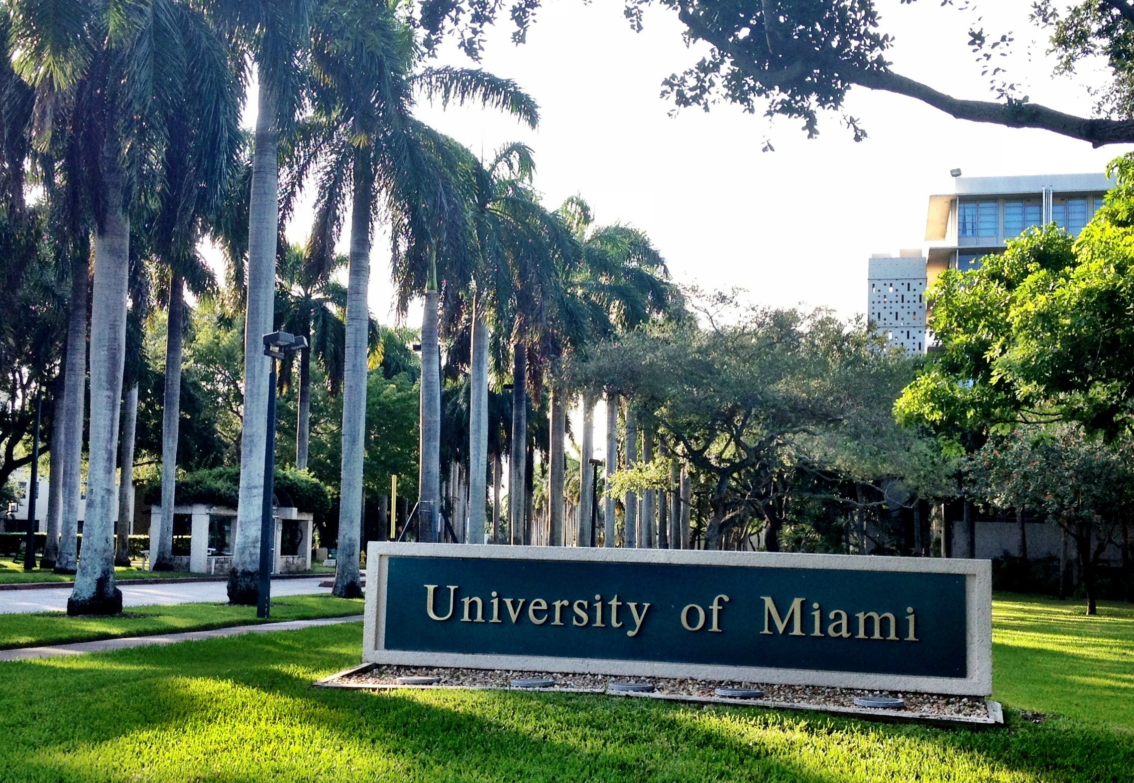 University of miami