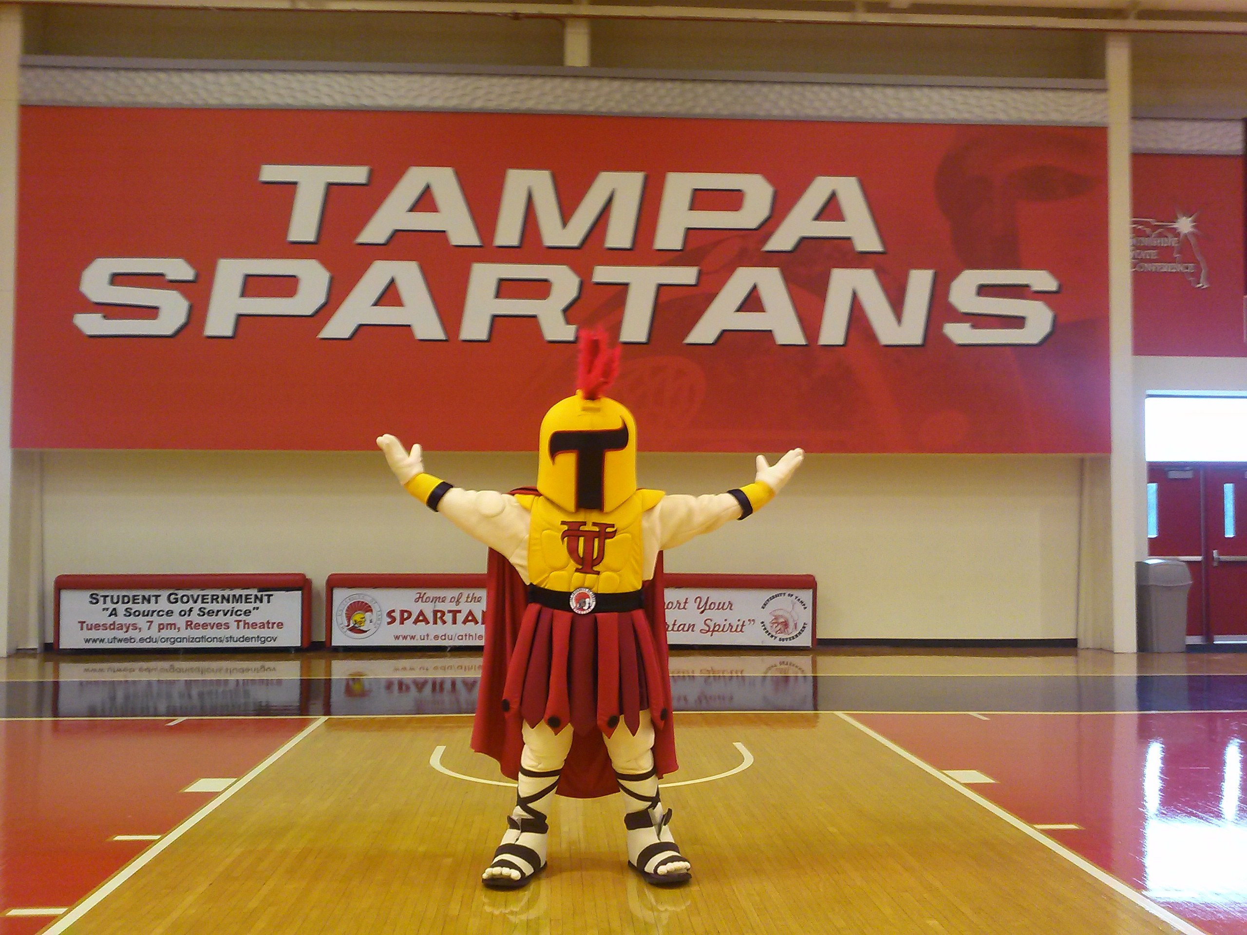 University of tampa