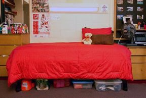 16 Types of Roommates You May Get at Boston University