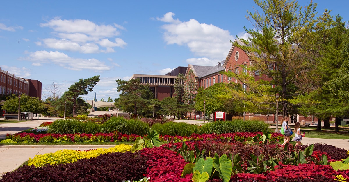 Illinois state quad north 1