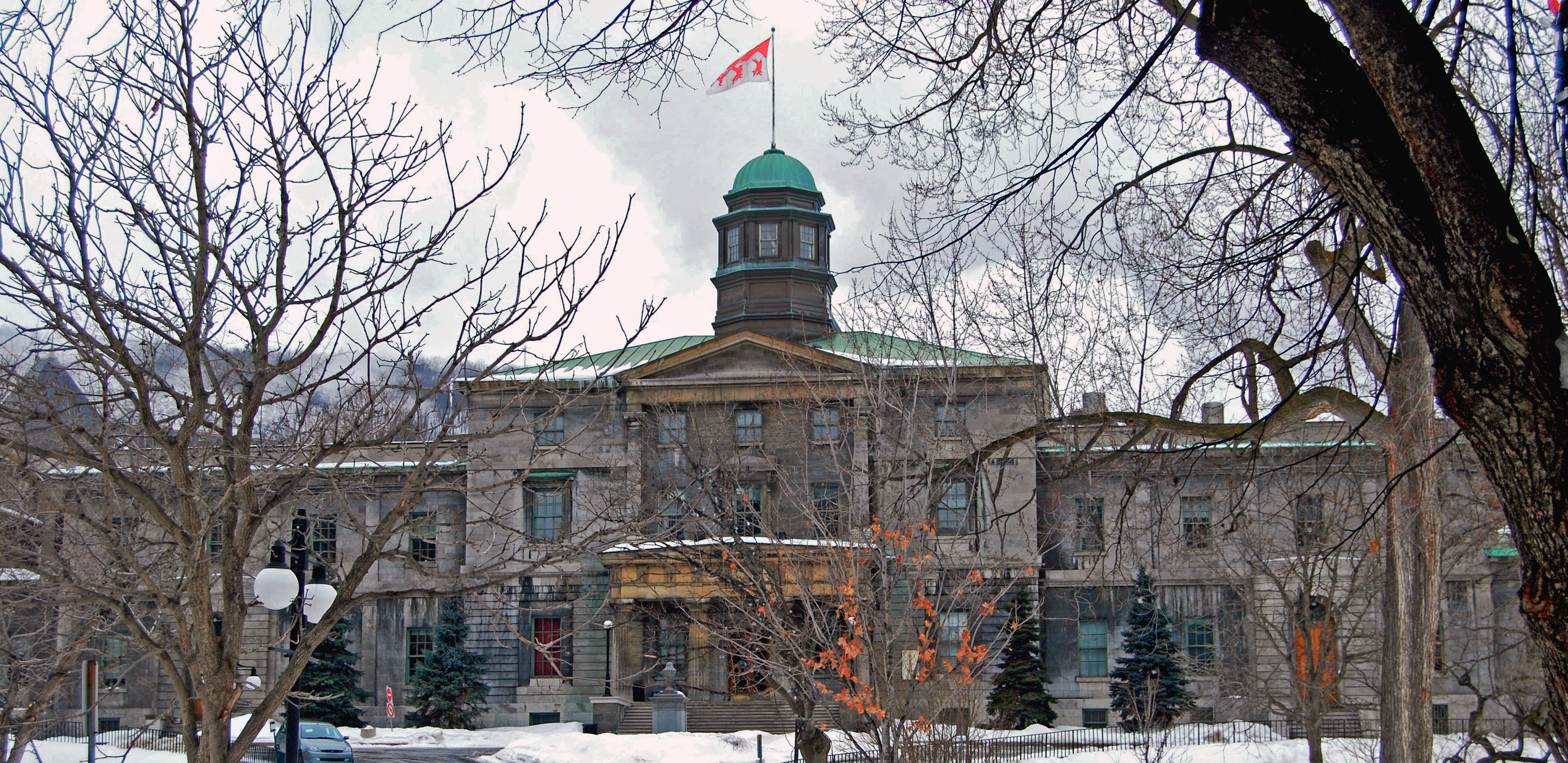 Mcgill