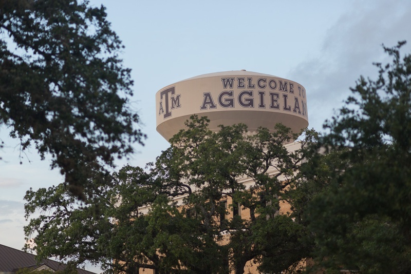 Texas a m