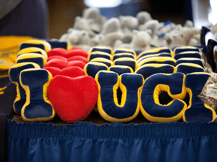 Uci