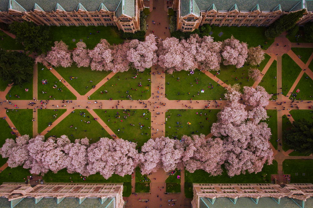 University of washington 1