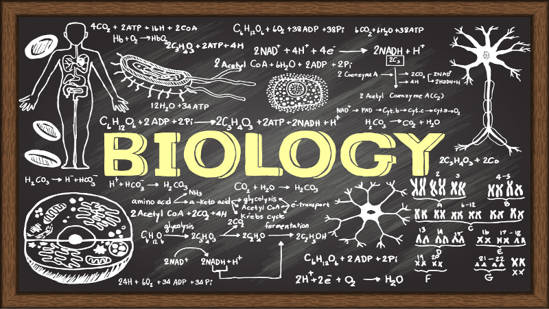 Image result for biology