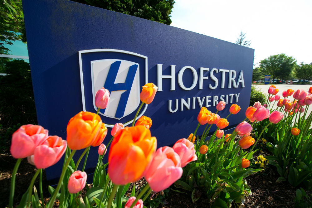 Hofstra application essay