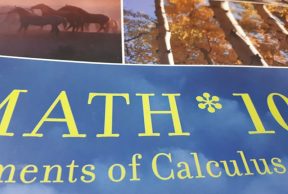 4 Core Concepts in MATH 1080 at U of Guelph