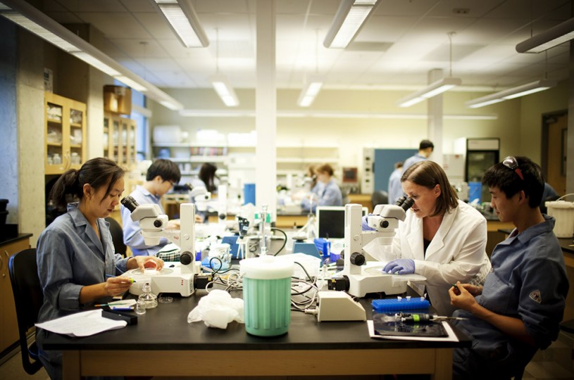 Students working in the lab together. 