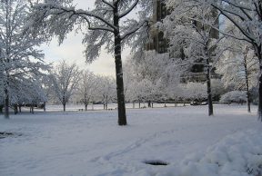 4 Ways to Survive The Winter at Brandeis University