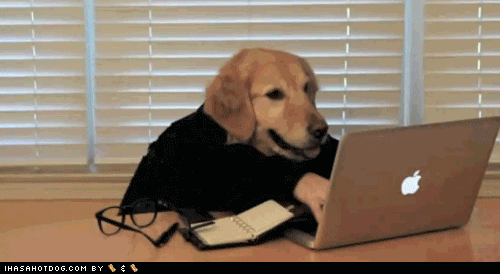 dog typing on the computer gif