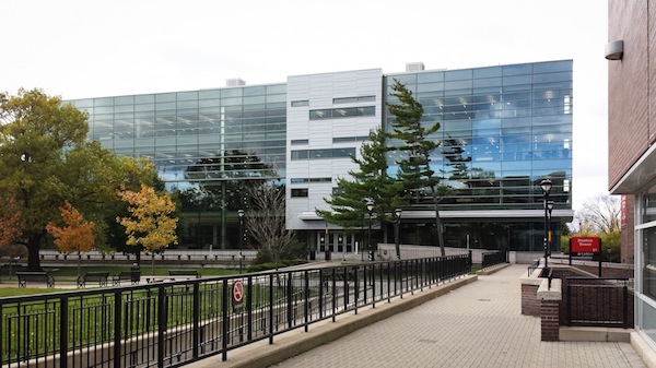 carleton thesis library