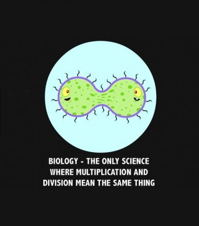 Meme of cells dividing