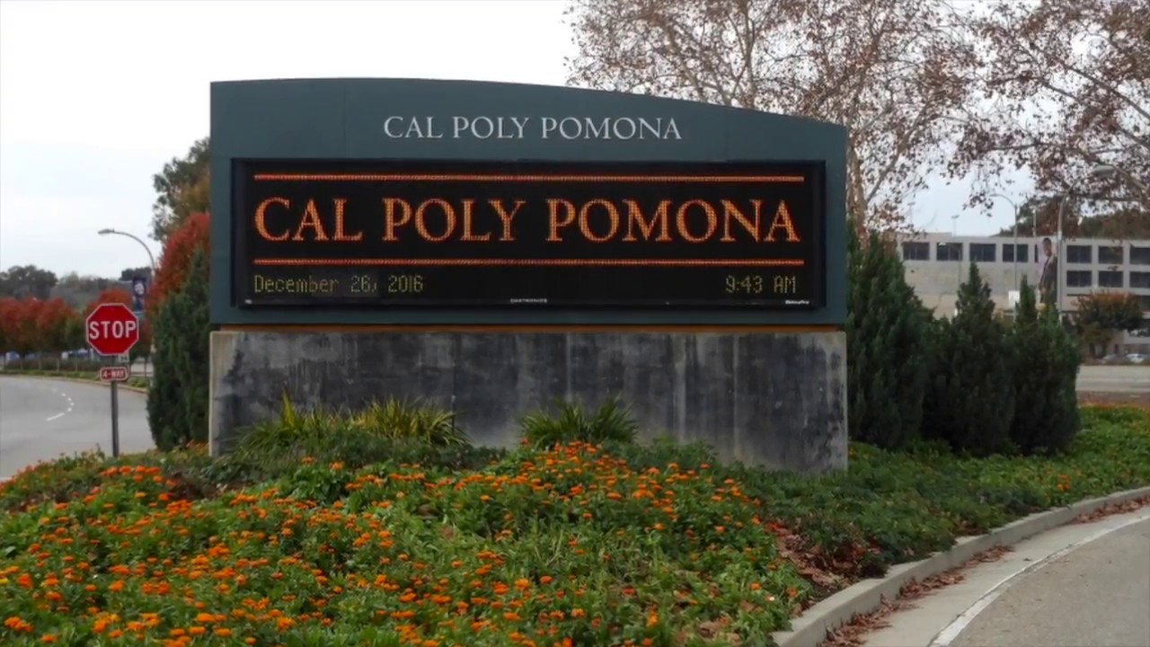 Teen ass cal poly pomona hook up page