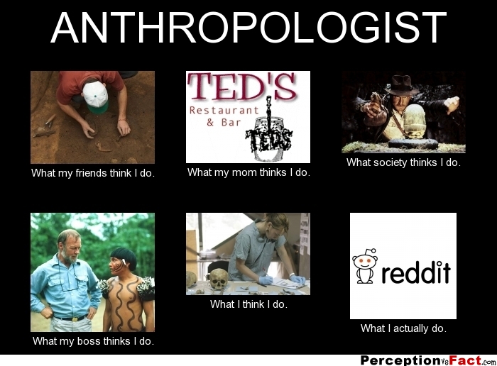 Different perspectives on Anthropologist