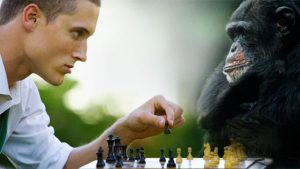 Human and primate playing chess