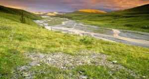 Introduction to Environmental Studies