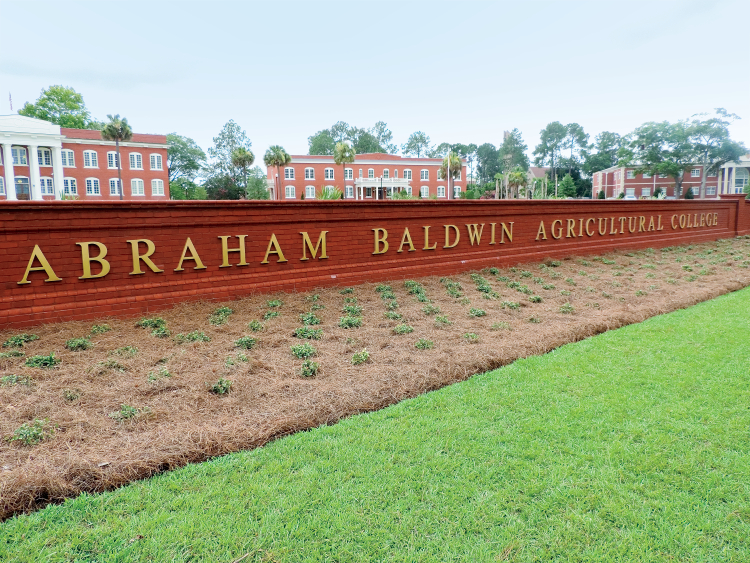 10 Easiest Courses at ABAC