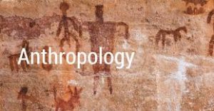 The word anthropology written out.