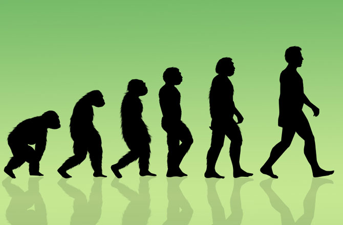 evolution of humans graphic