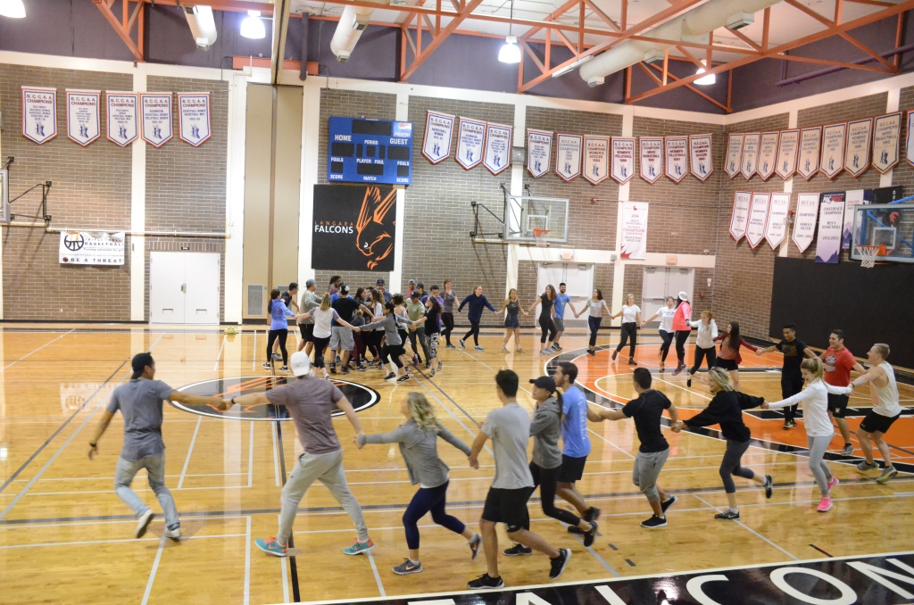 Picture of a gymnasium with people engaged in a leisure activity