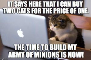 A meme of a cat using a laptop