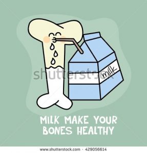 A bone absorbing nutrient from milk