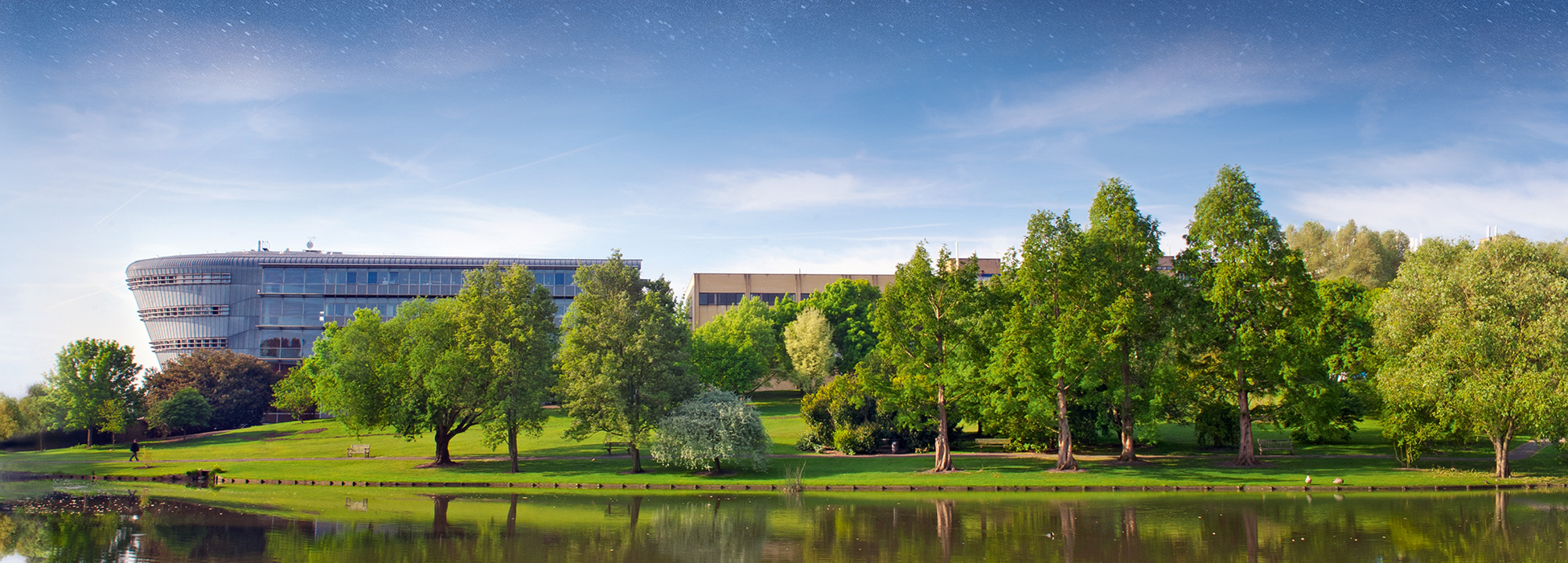 University of Surrey