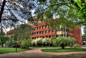 Top 10 Professors at the U of A