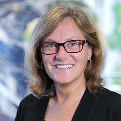 Earth Sciences Professor at SU