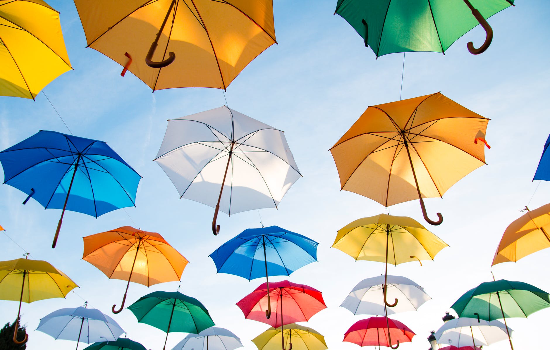 a bunch of umbrellas