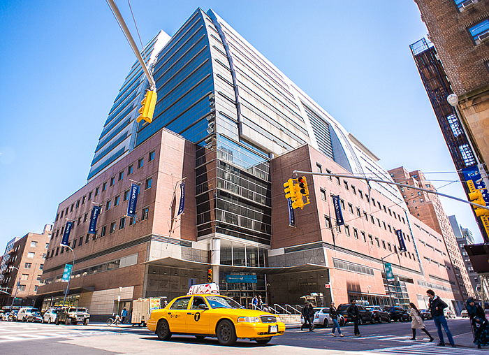 Top 10 Clubs Offered at Baruch College