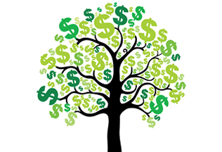 a money tree