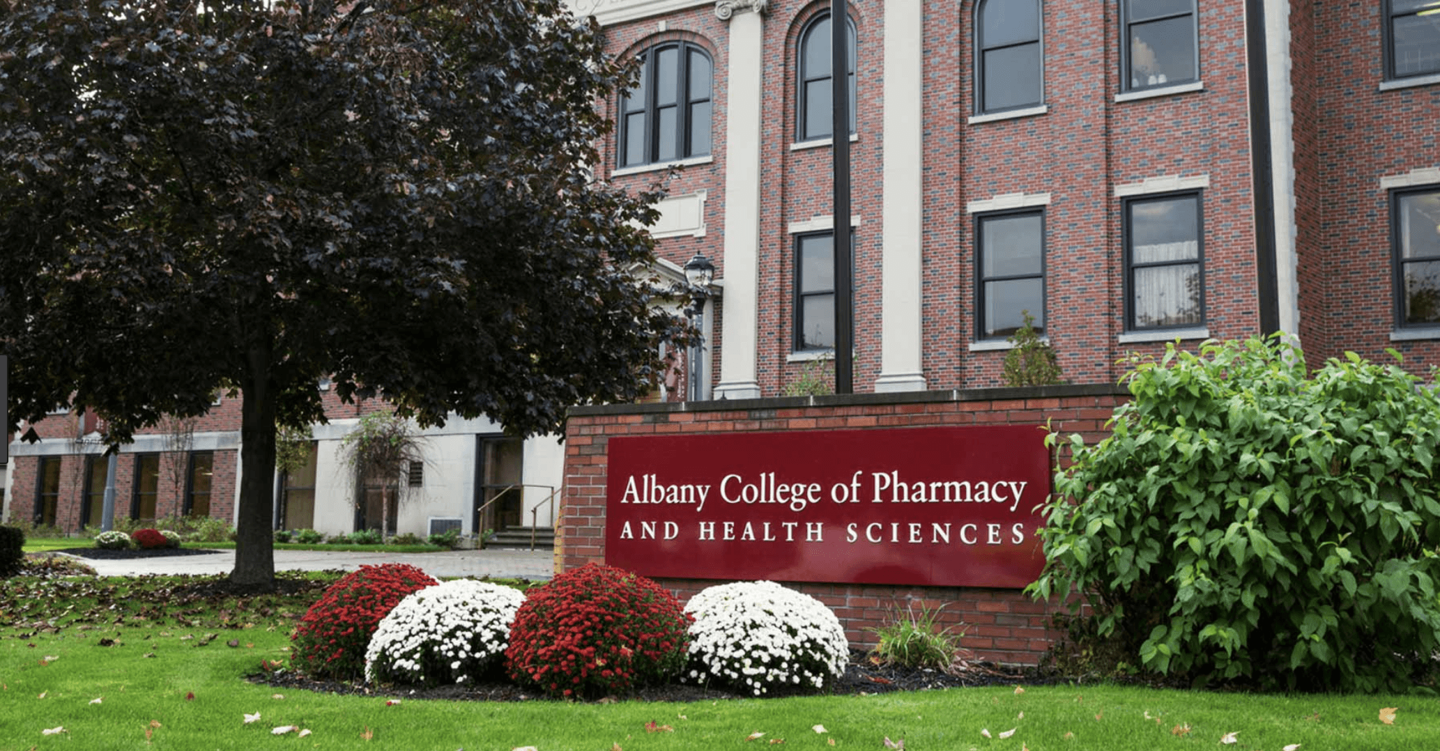 10 Coolest Classes at Albany College of Pharmacy and Health Sciences ...