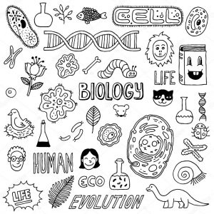 Biology Clipart