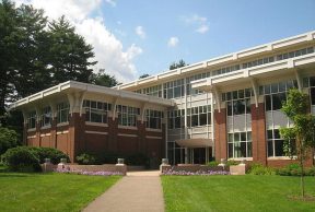 Top 10 Cool Clubs at Babson College