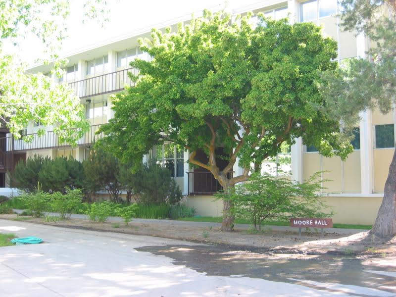 Moore Hall at Central Washington University
