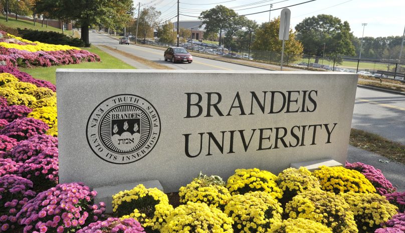 Top 10 Majors At Brandeis University - OneClass Blog