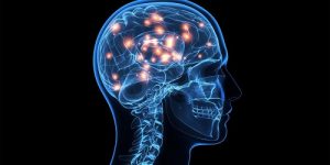 Brown University_Neuroscience_ All about Learning the Complexity of the Human Brain