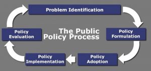 Brown University_Public Policy_Process of Understanding the Public Policy